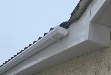 picture of soffits